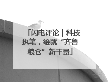 闪电评论｜科技执笔，绘就“齐鲁粮仓”新丰景