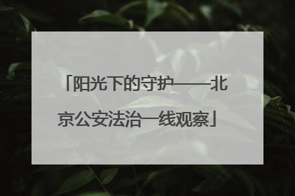 阳光下的守护——北京公安法治一线观察
