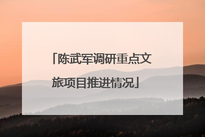陈武军调研重点文旅项目推进情况