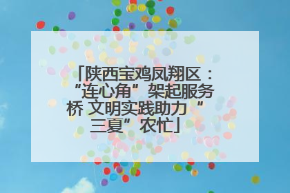 陕西宝鸡凤翔区：“连心角”架起服务桥 文明实践助力“三夏”农忙