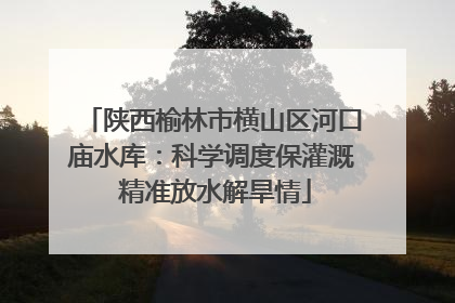 陕西榆林市横山区河口庙水库：科学调度保灌溉 精准放水解旱情
