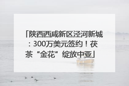 陕西西咸新区泾河新城：300万美元签约！茯茶“金花”绽放中亚