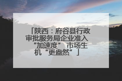 陕西：府谷县行政审批服务局企业准入“加速度” 市场生机“更盎然”