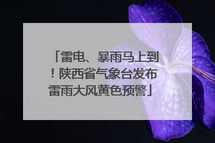 雷电、暴雨马上到！陕西省气象台发布雷雨大风黄色预警