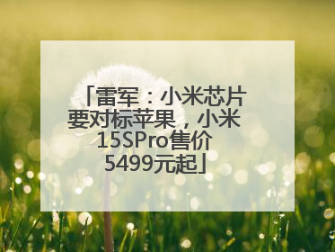雷军：小米芯片要对标苹果，小米15SPro售价5499元起