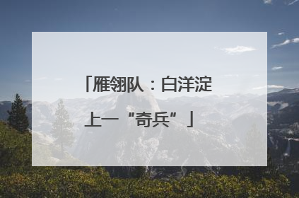 雁翎队：白洋淀上一“奇兵”
