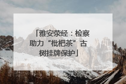 雅安荥经：检察助力“枇杷茶”古树挂牌保护
