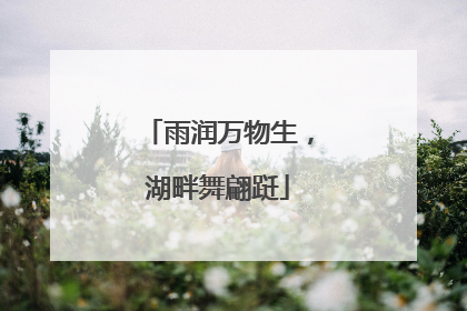 雨润万物生，湖畔舞翩跹