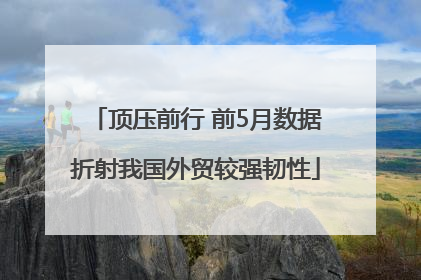 顶压前行 前5月数据折射我国外贸较强韧性