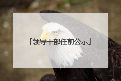 领导干部任前公示