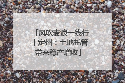 风吹麦浪一线行丨定州：土地托管带来稳产增收