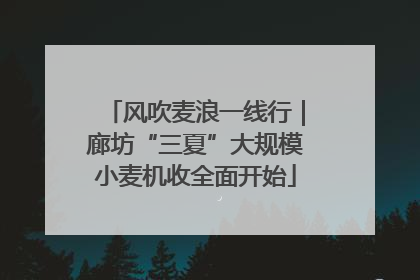 风吹麦浪一线行｜廊坊“三夏”大规模小麦机收全面开始