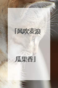 风吹麦浪 瓜果香