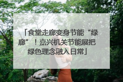食堂走廊变身节能“绿廊”！嘉兴机关节能展把绿色理念融入日常