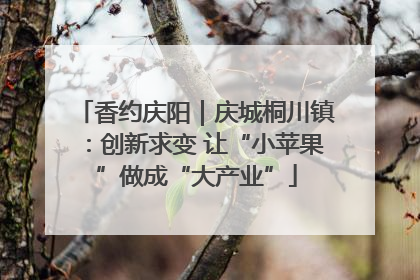 香约庆阳｜庆城桐川镇：创新求变 让“小苹果”做成“大产业”