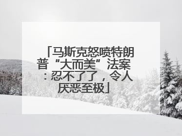 马斯克怒喷特朗普“大而美”法案：忍不了了，令人厌恶至极