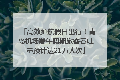 高效护航假日出行！青岛机场端午假期旅客吞吐量预计达21万人次