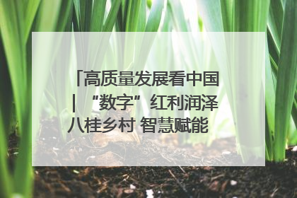 高质量发展看中国｜“数字”红利润泽八桂乡村 智慧赋能绘就振兴画卷