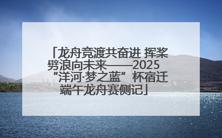 龙舟竞渡共奋进 挥桨劈浪向未来——2025“洋河·梦之蓝”杯宿迁端午龙舟赛侧记