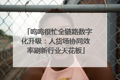 鸣鸣很忙全链路数字化升级：人货场协同效率刷新行业天花板