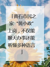黄石市民之家“黄小政”上岗，不仅能聊天办事还能听懂多种语言