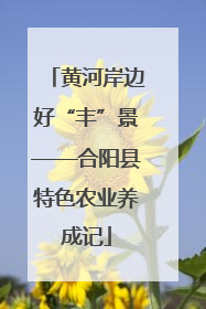 黄河岸边好“丰”景——合阳县特色农业养成记