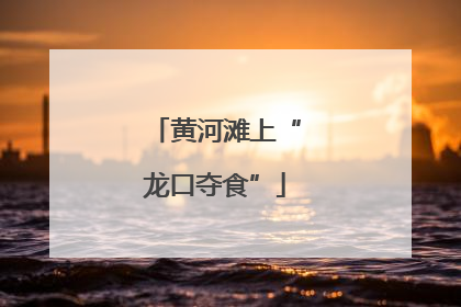黄河滩上“龙口夺食”