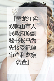 黑龙江省双鸭山市人民政府原副秘书长马为先接受纪律审查和监察调查
