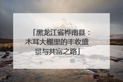 黑龙江省桦南县：木耳大棚里的丰收盛景与共富之路