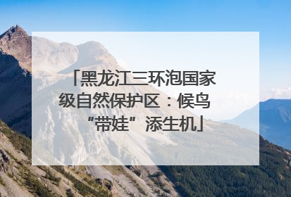 黑龙江三环泡国家级自然保护区：候鸟“带娃”添生机