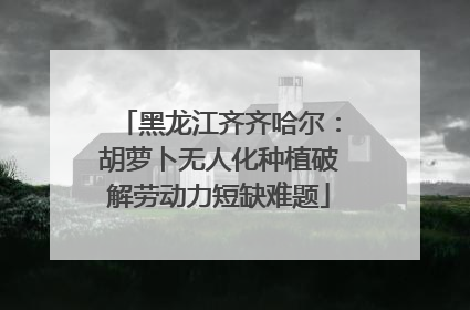 黑龙江齐齐哈尔：胡萝卜无人化种植破解劳动力短缺难题