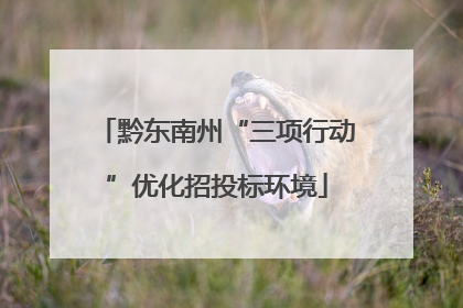 黔东南州“三项行动”优化招投标环境