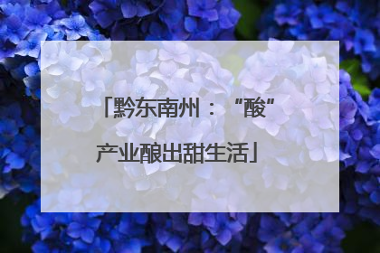 黔东南州：“酸”产业酿出甜生活