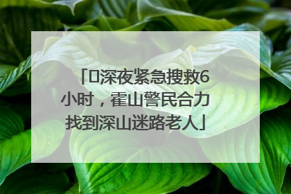 ﻿深夜紧急搜救6小时，霍山警民合力找到深山迷路老人