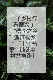 （乡村行·看振兴）“槜李之乡”浙江桐乡：“千年名果”铺就乡村共富路