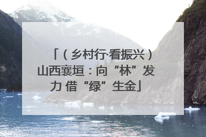 （乡村行·看振兴）山西襄垣：向“林”发力 借“绿”生金