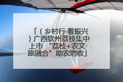 （乡村行·看振兴）广西钦州荔枝集中上市 “荔枝+农文旅融合”助农增收