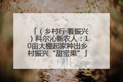 （乡村行·看振兴）科尔沁新农人：10亩大棚起家种出乡村振兴“甜蜜果”