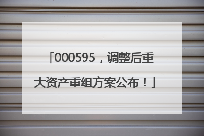 000595，调整后重大资产重组方案公布！