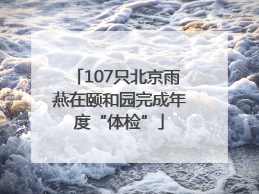 107只北京雨燕在颐和园完成年度“体检”