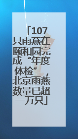 107只雨燕在颐和园完成“年度体检”，北京雨燕数量已超一万只