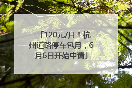120元/月！杭州道路停车包月，6月6日开始申请