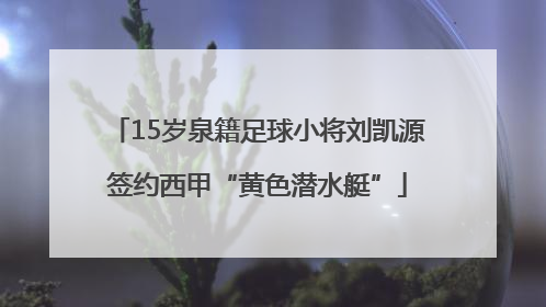15岁泉籍足球小将刘凯源签约西甲“黄色潜水艇”