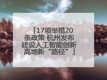 17项举措20条政策 杭州发布建设人工智能创新高地新“路径”