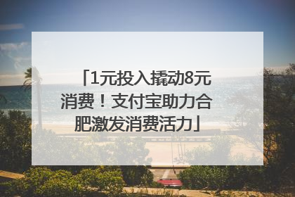1元投入撬动8元消费！支付宝助力合肥激发消费活力