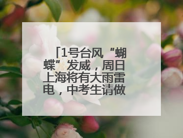 1号台风“蝴蝶”发威，周日上海将有大雨雷电，中考生请做好防范准备