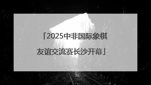 2025中非国际象棋友谊交流赛长沙开幕
