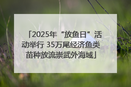 2025年“放鱼日”活动举行 35万尾经济鱼类苗种放流崇武外海域