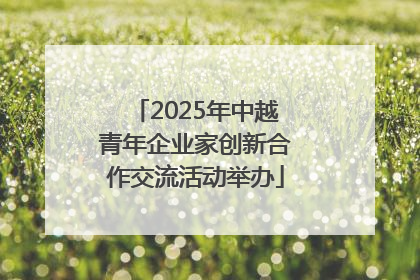2025年中越青年企业家创新合作交流活动举办