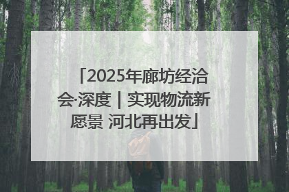 2025年廊坊经洽会·深度｜实现物流新愿景 河北再出发